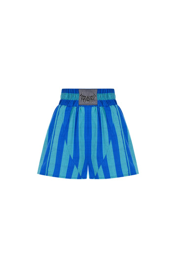 Turquoise-Blue Striped Boxer Shorts